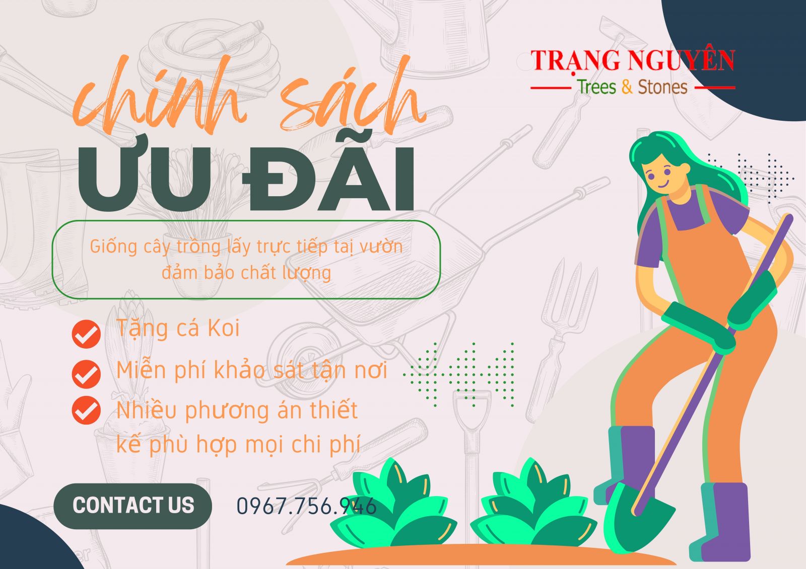 Chính sách khuyến mãi khi lựa chọn dịch vụ thiết kế hồ cá tại Trạng Nguyên