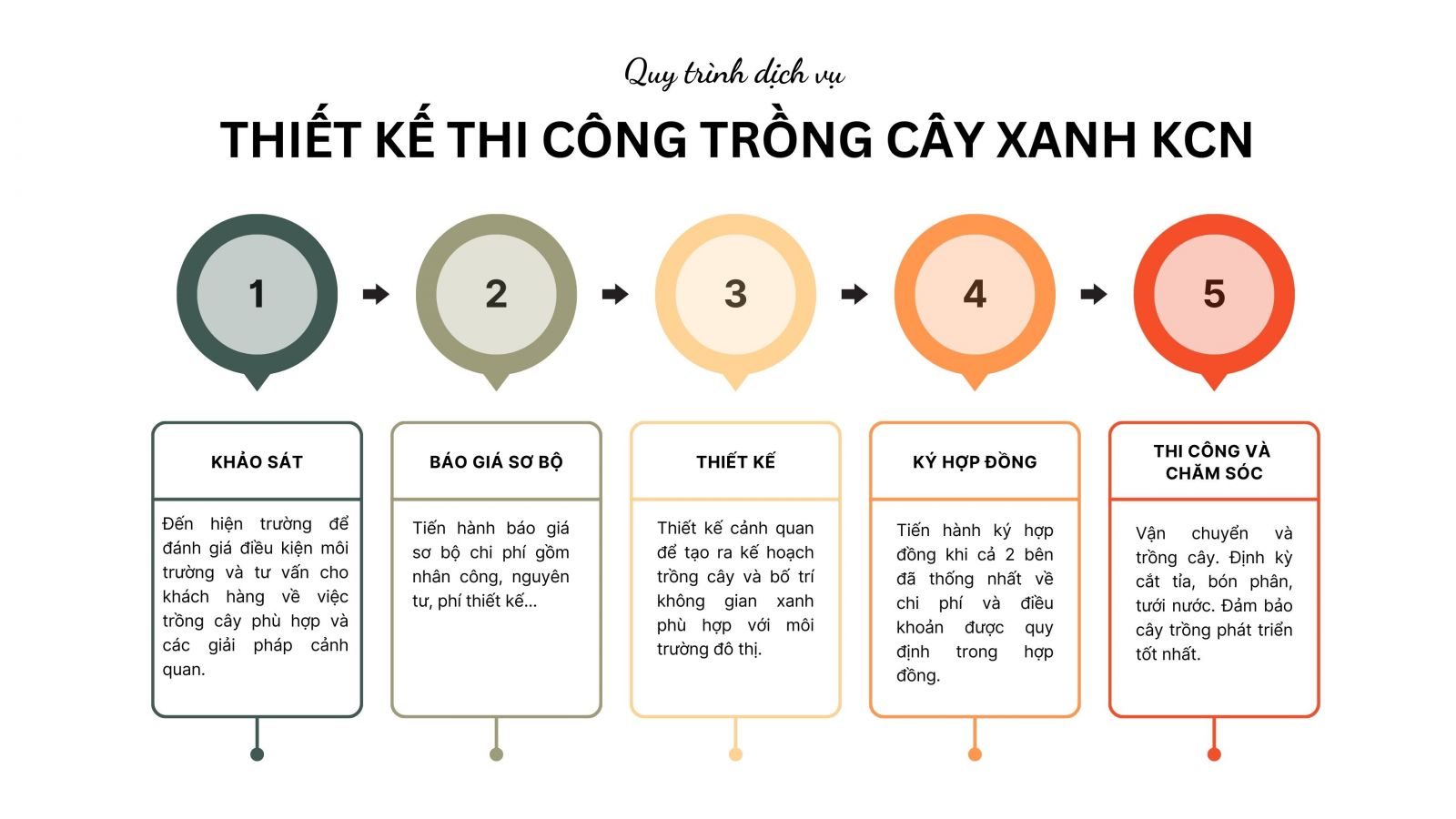 Quy trình trồng cây xanh khu công nghiệp