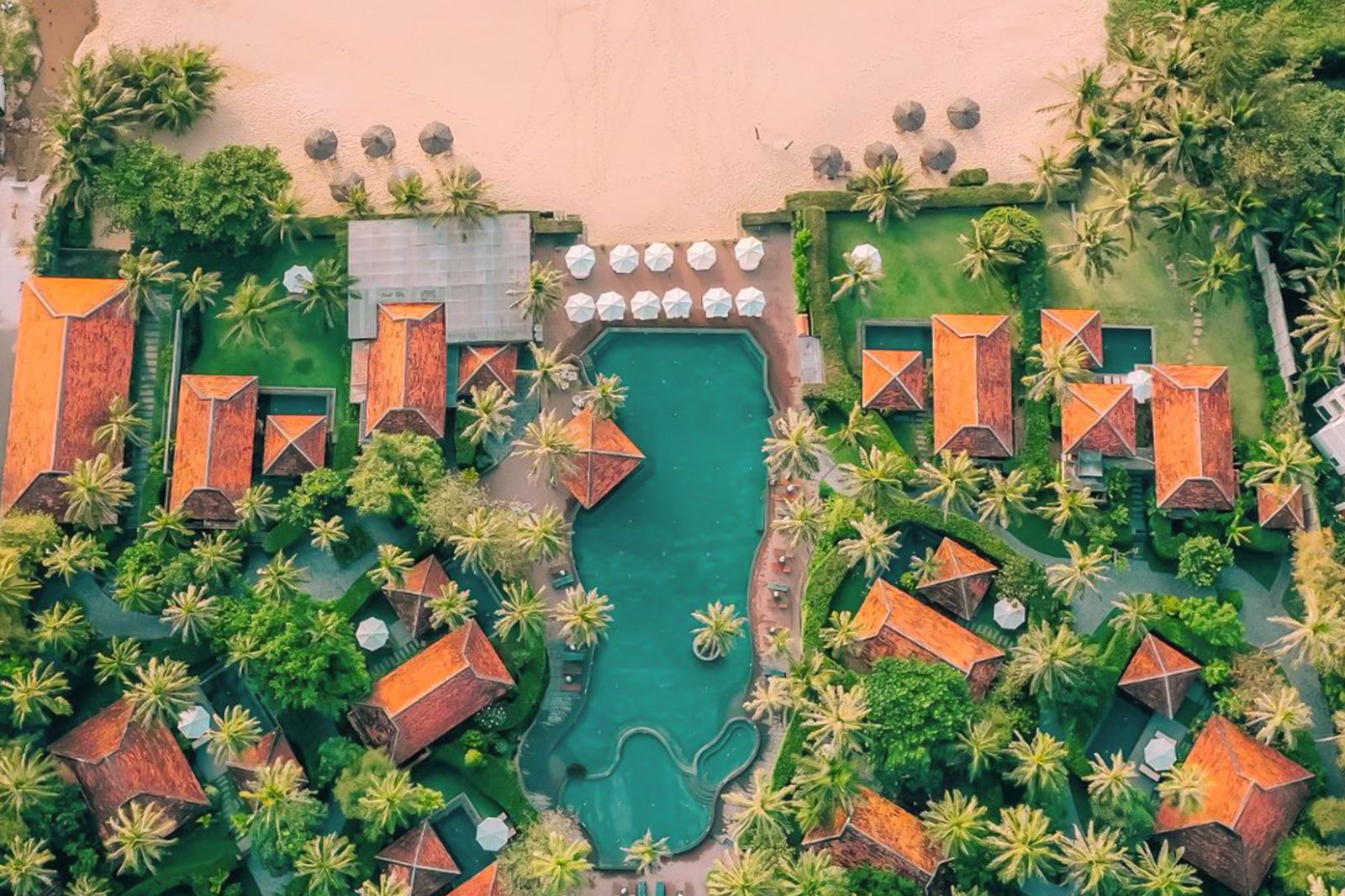 Resort gần biển thường phổ biến với cây dừa cảnh, chà là...nhờ khả năng chịu gió mạnh