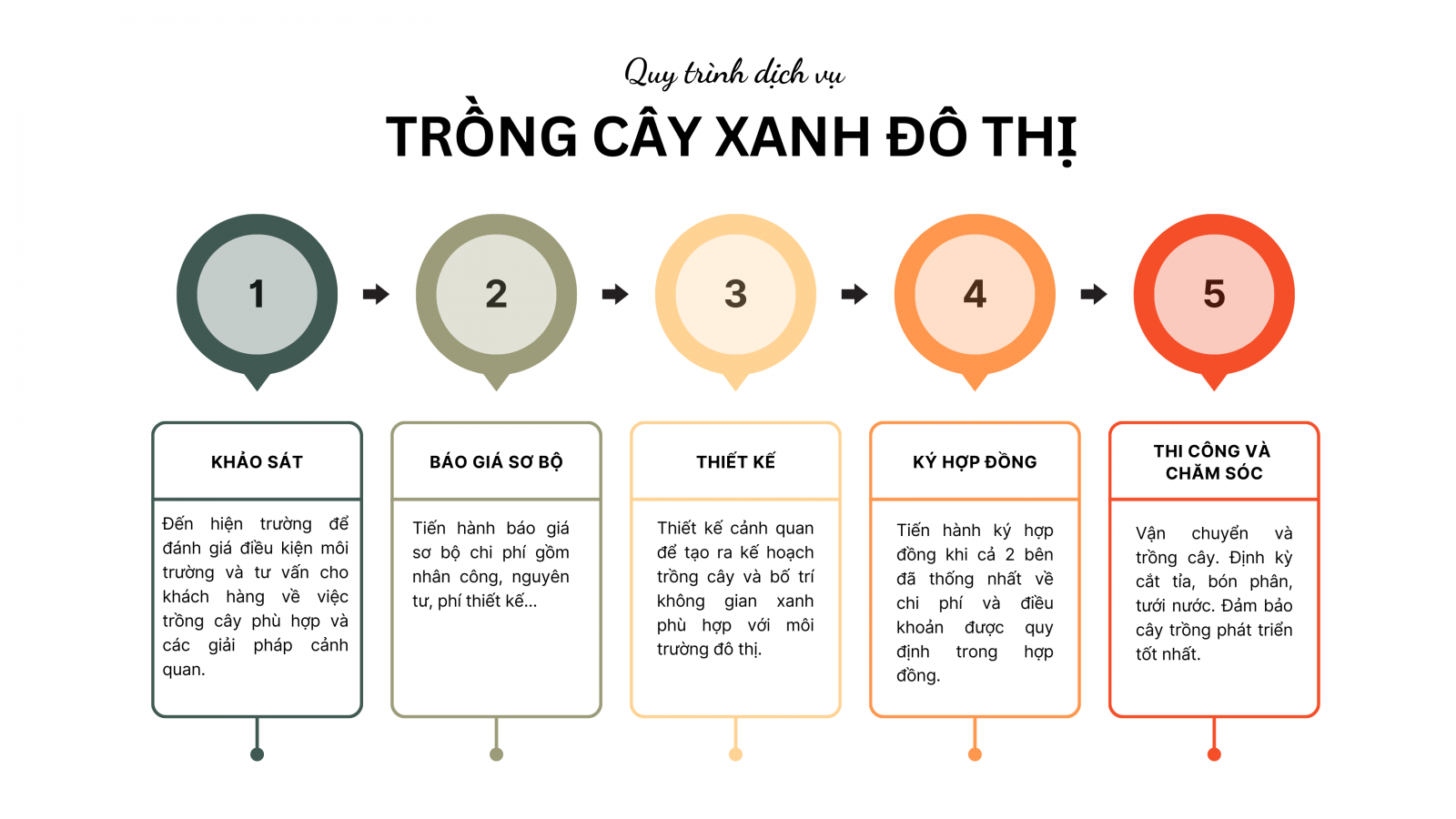 Quy trình dịch vụ trồng cây đô thị