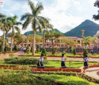 Dịch vụ trồng cây xanh trang trí khuôn viên trường học