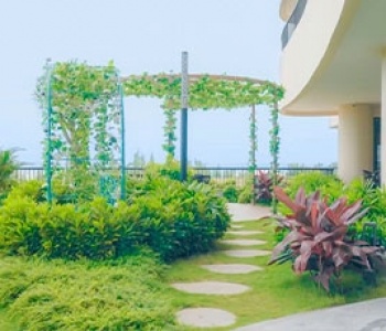 Thiết kế thi công cảnh quan sân vườn tại Lâm Đồng